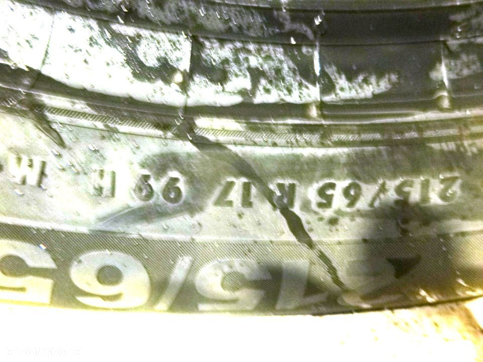 nowa opona zimowa Semperit Speed-Grip 5 215/65R17 99 H - 3