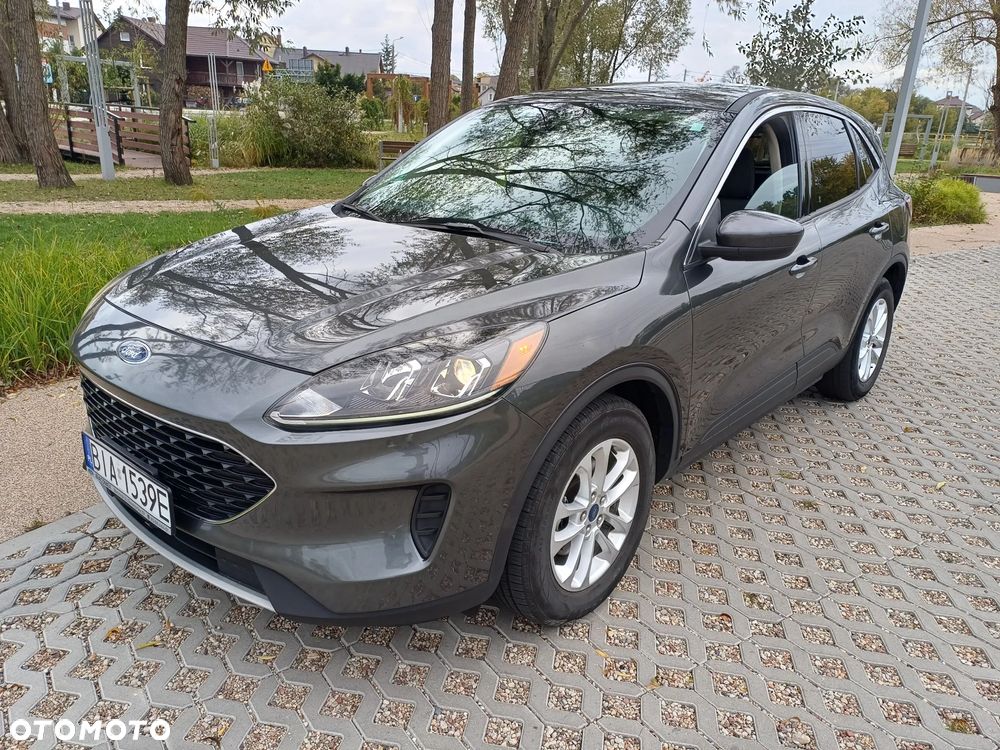 Ford Escape 1.5 EcoBoost AWD SE - 8