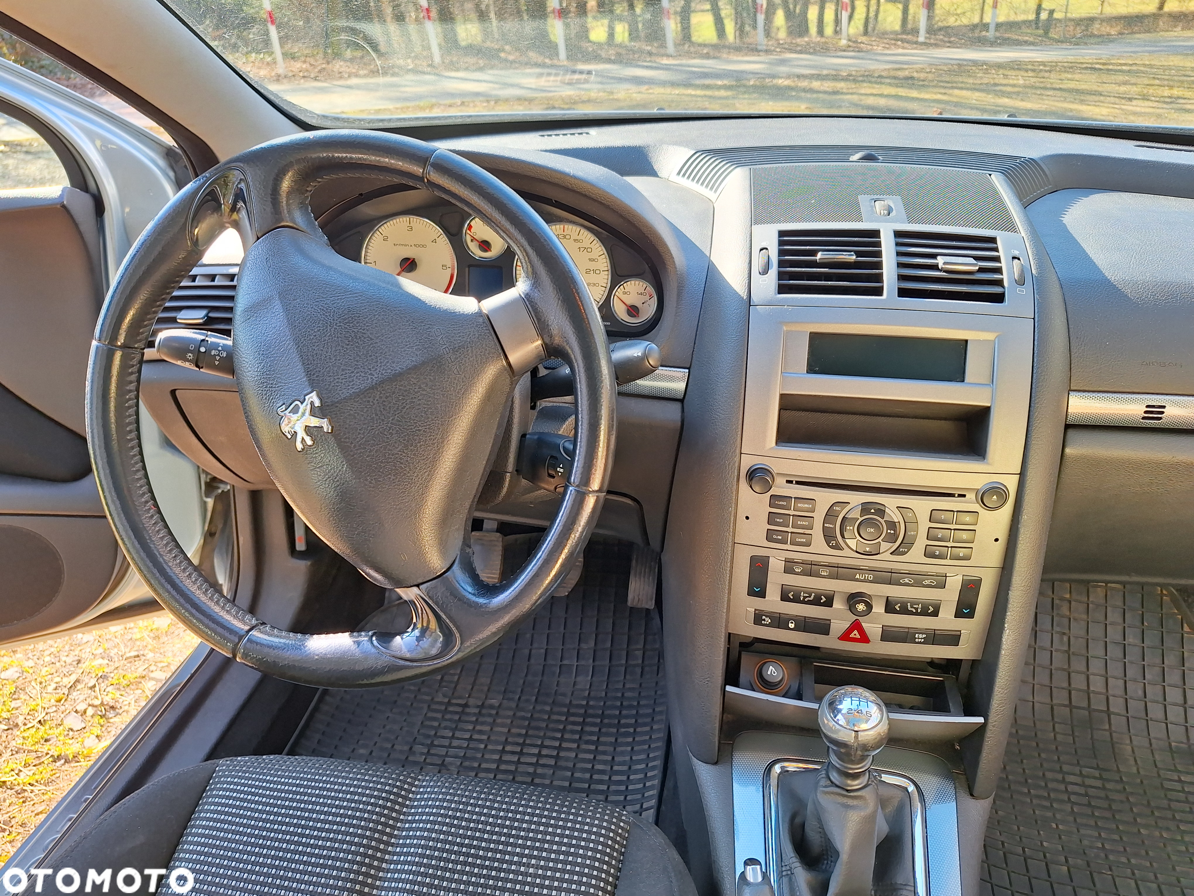 Peugeot 407 - 13