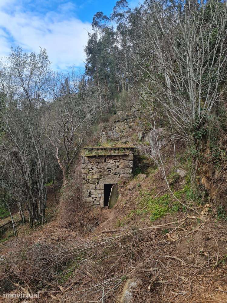 Quinta das Fontainhas, Rio de Moinhos, Penafiel - Grande imagem: 5/43