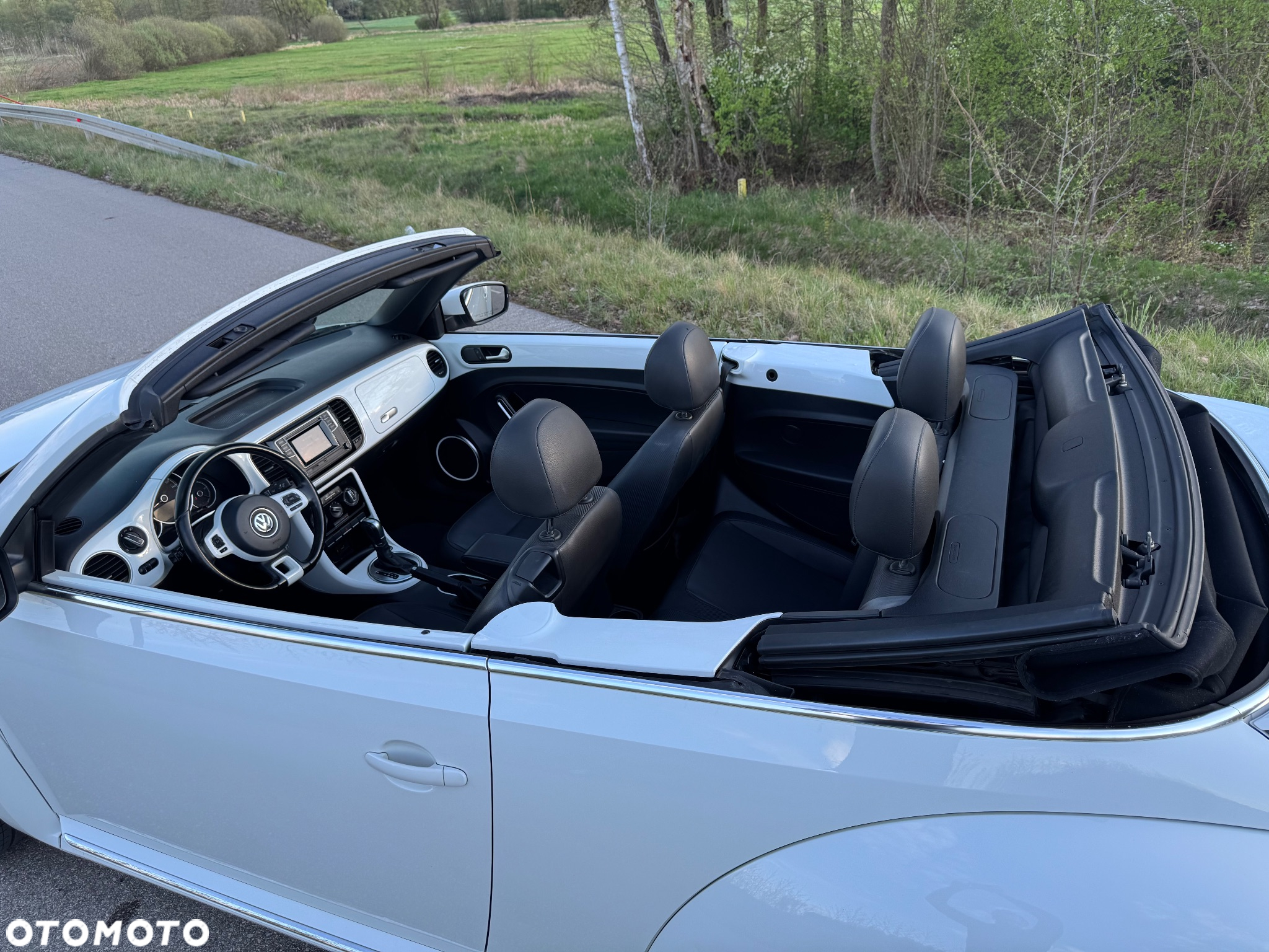 Volkswagen Beetle - 17