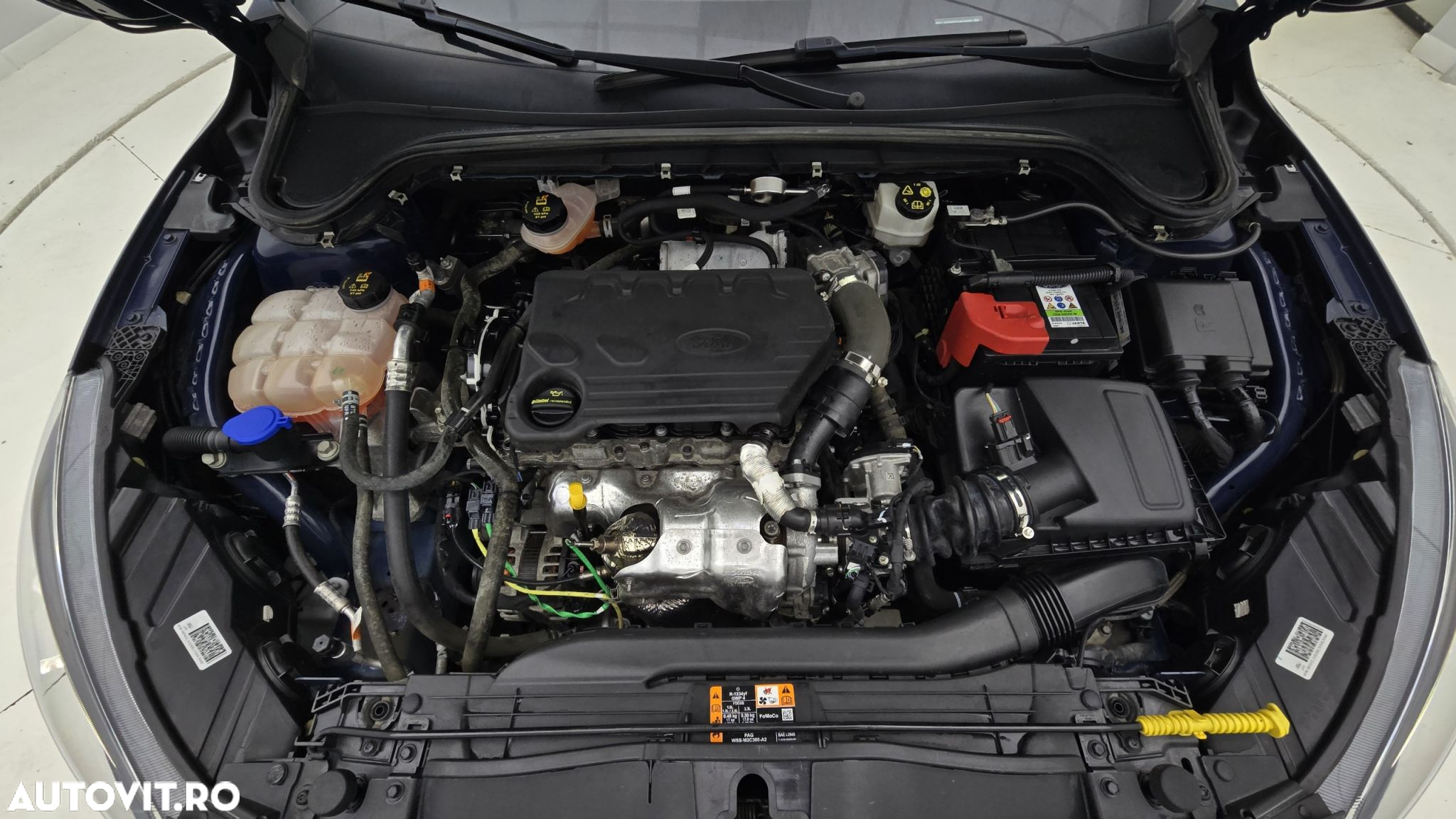 Ford Focus 1.5 EcoBlue Trend Edition - 24