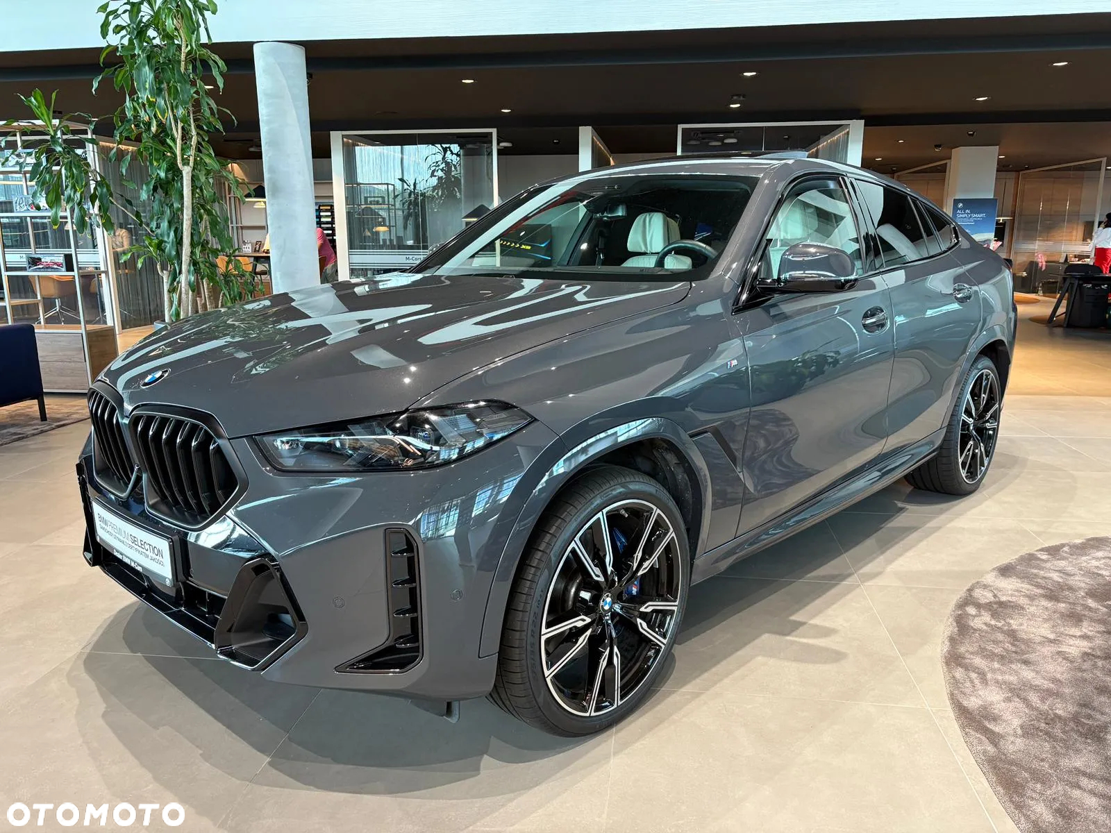 BMW X6 xDrive30d - 3