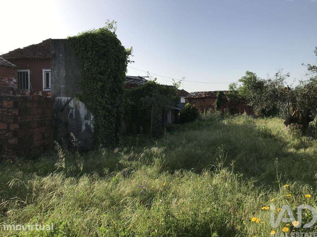 Casa de Campo T5 em Freixianda, Ribeira do Fárrio e Formigais - Grande imagem: 4/40