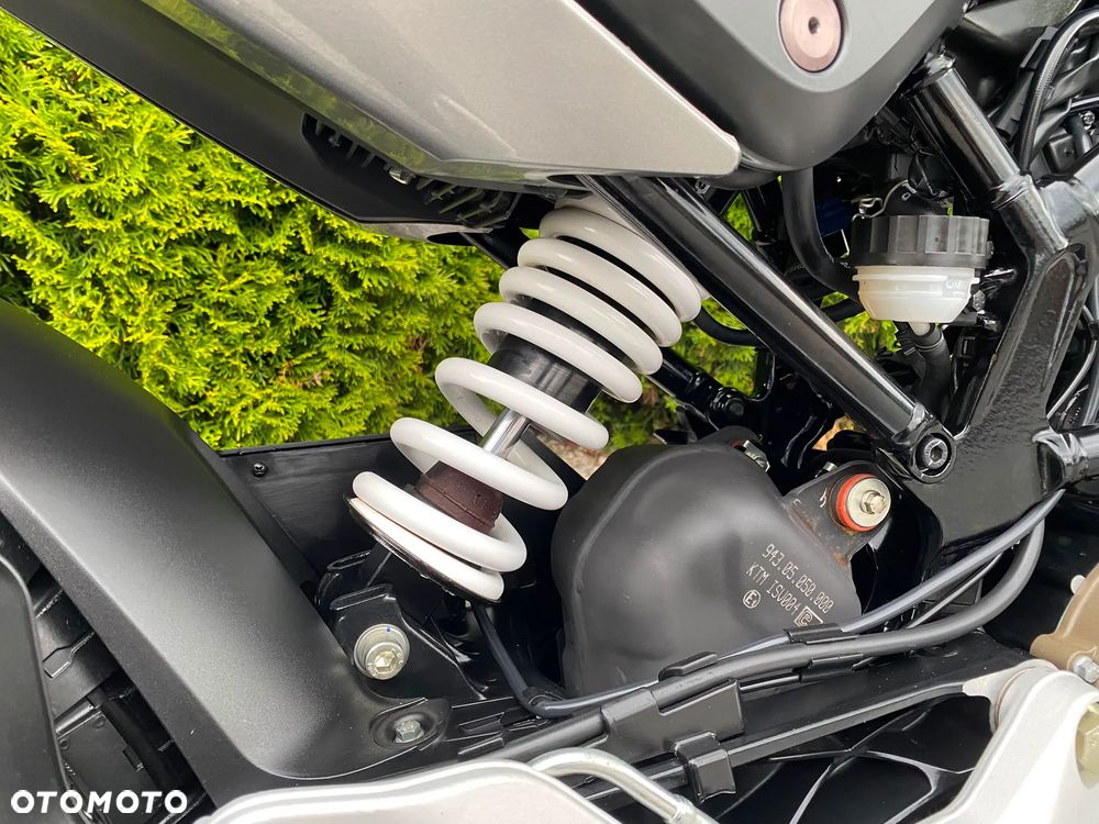 Husqvarna Svartpilen - 17