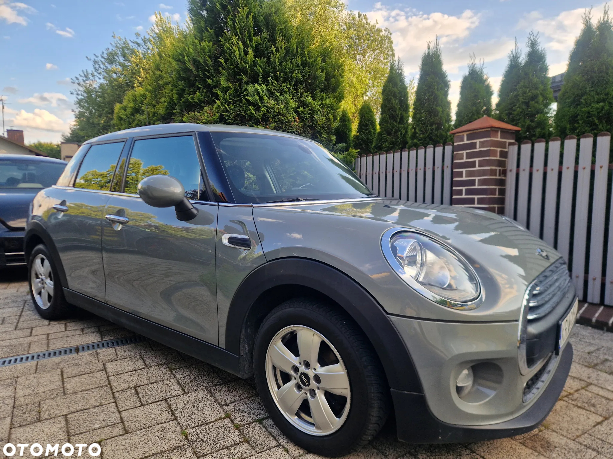 MINI ONE Standard - 21
