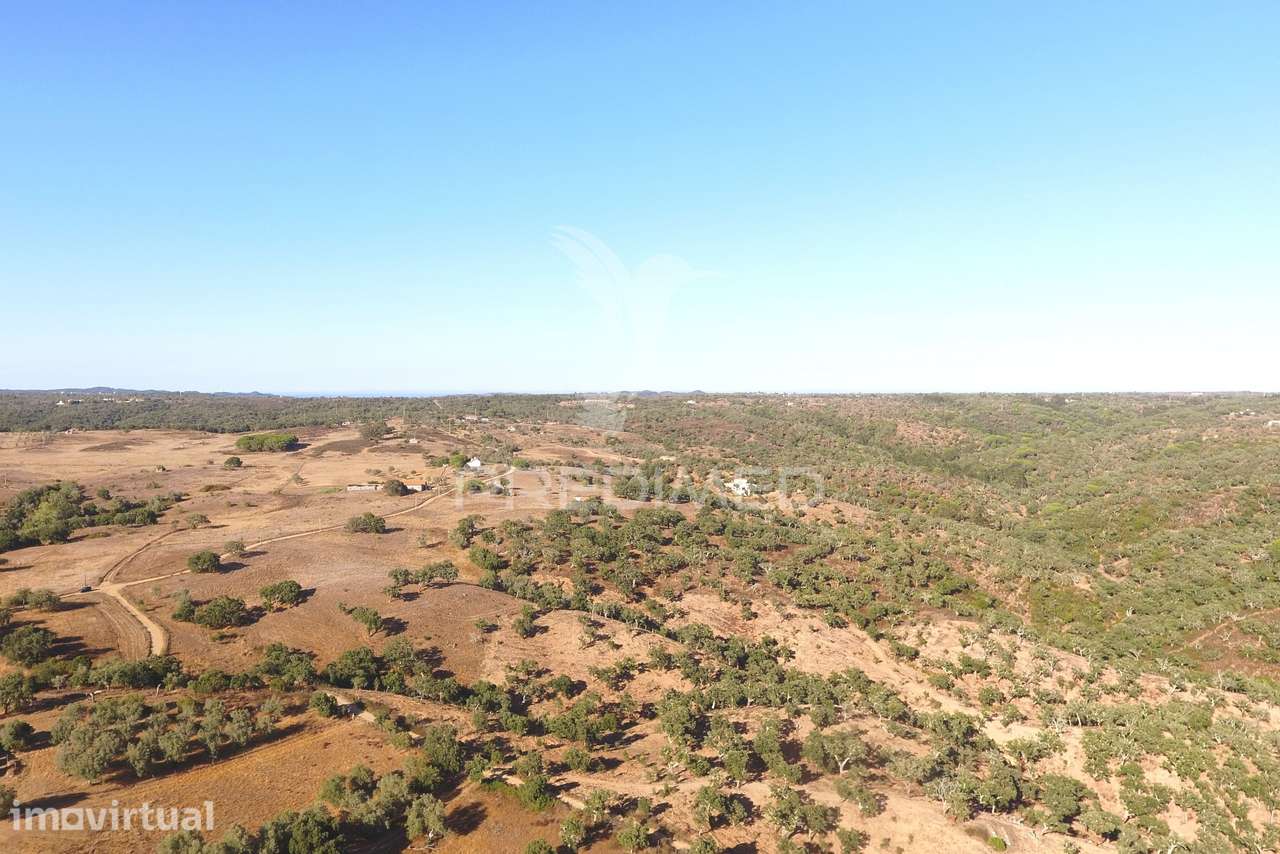 Terreno rustico com 16,85 hectares a 10 minutos de Melides - Grande imagem: 5/12