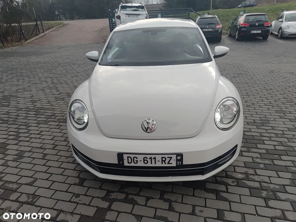 Volkswagen Beetle - 27