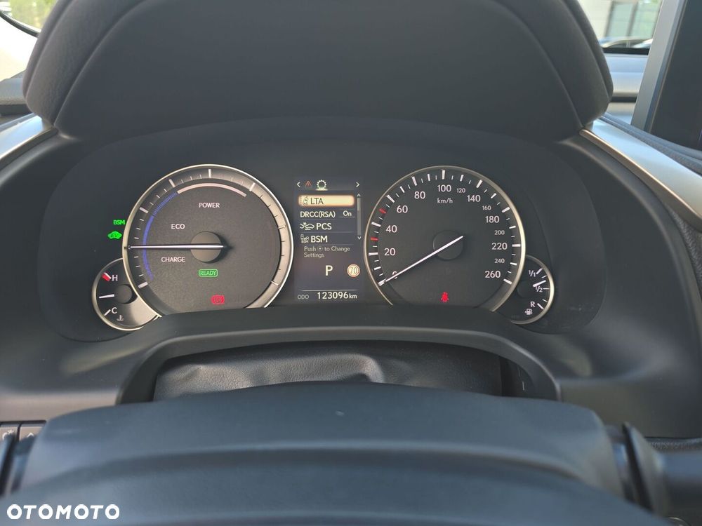 Lexus RX 450h F-Impression - 18