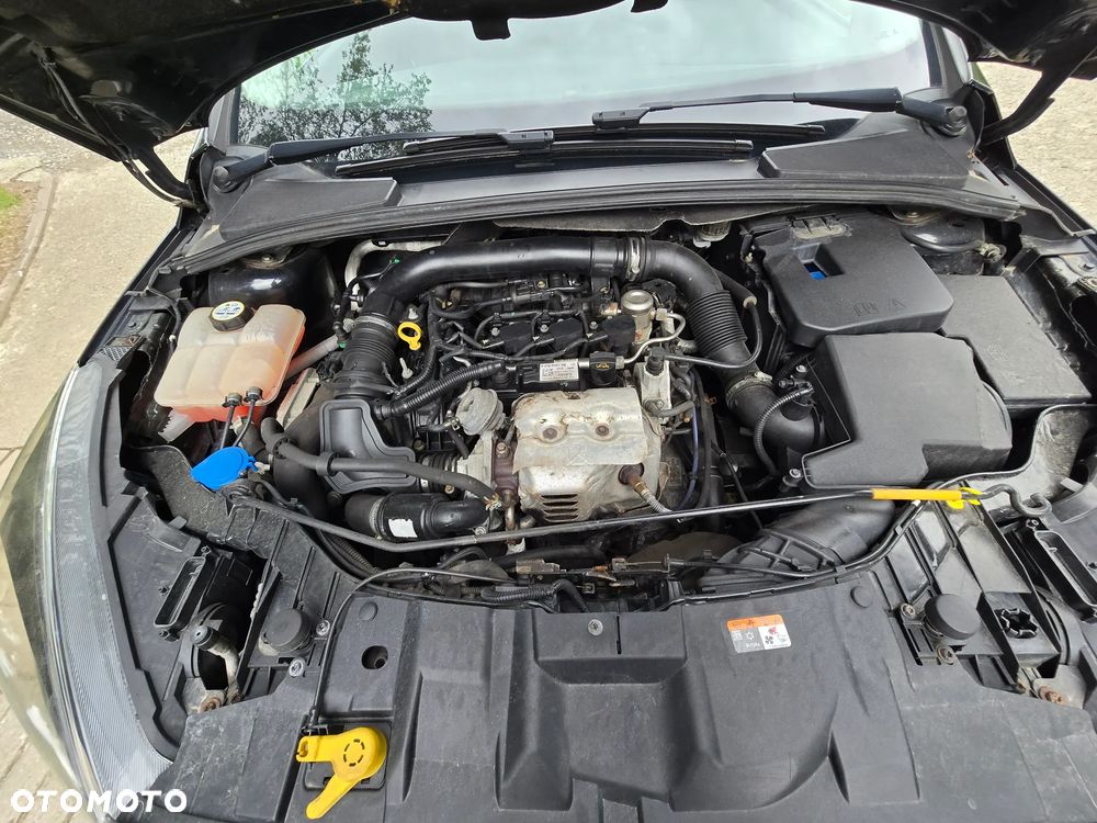 Ford Focus - 22