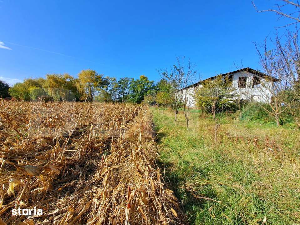 Teren intravilan de 18927 mp, Hala P+1 250 mp, Ocna Mures - Imagine principală: 3/6