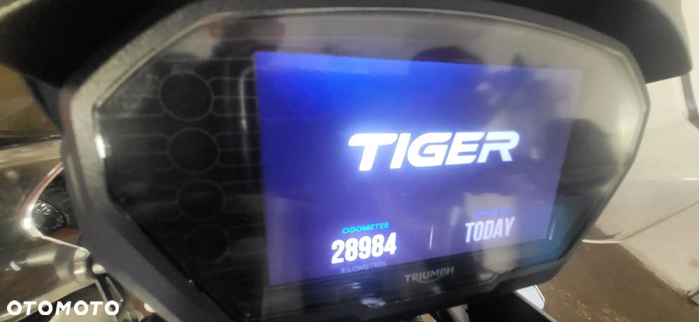 Triumph Tiger - 12