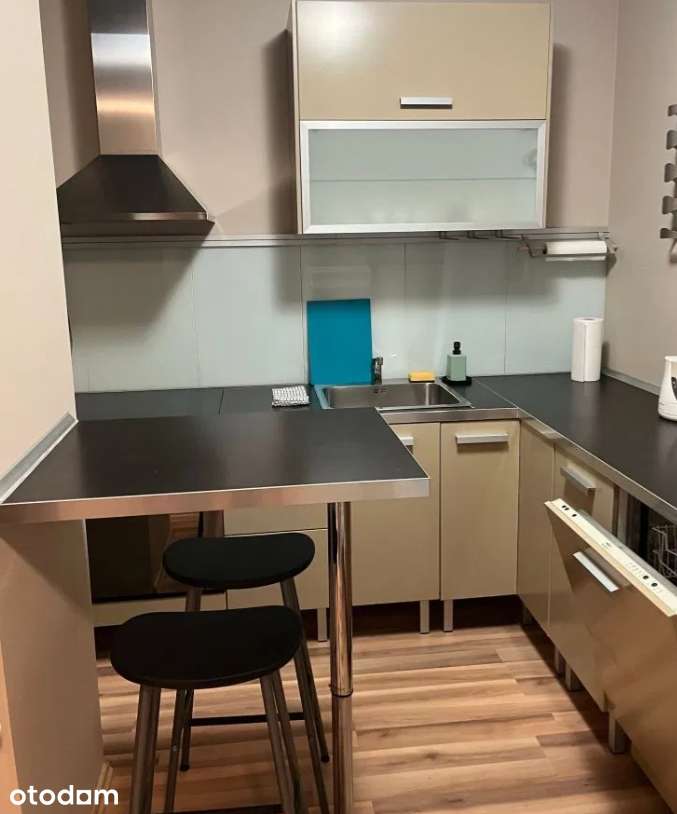 Mieszkanie 46,90m2 na sprzedaż-Kminkowa - Plewiska 515tys Niski czynsz