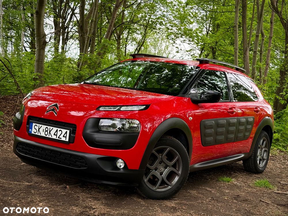 Citroën C4 Cactus 1.2 PureTech Shine S&S - 29