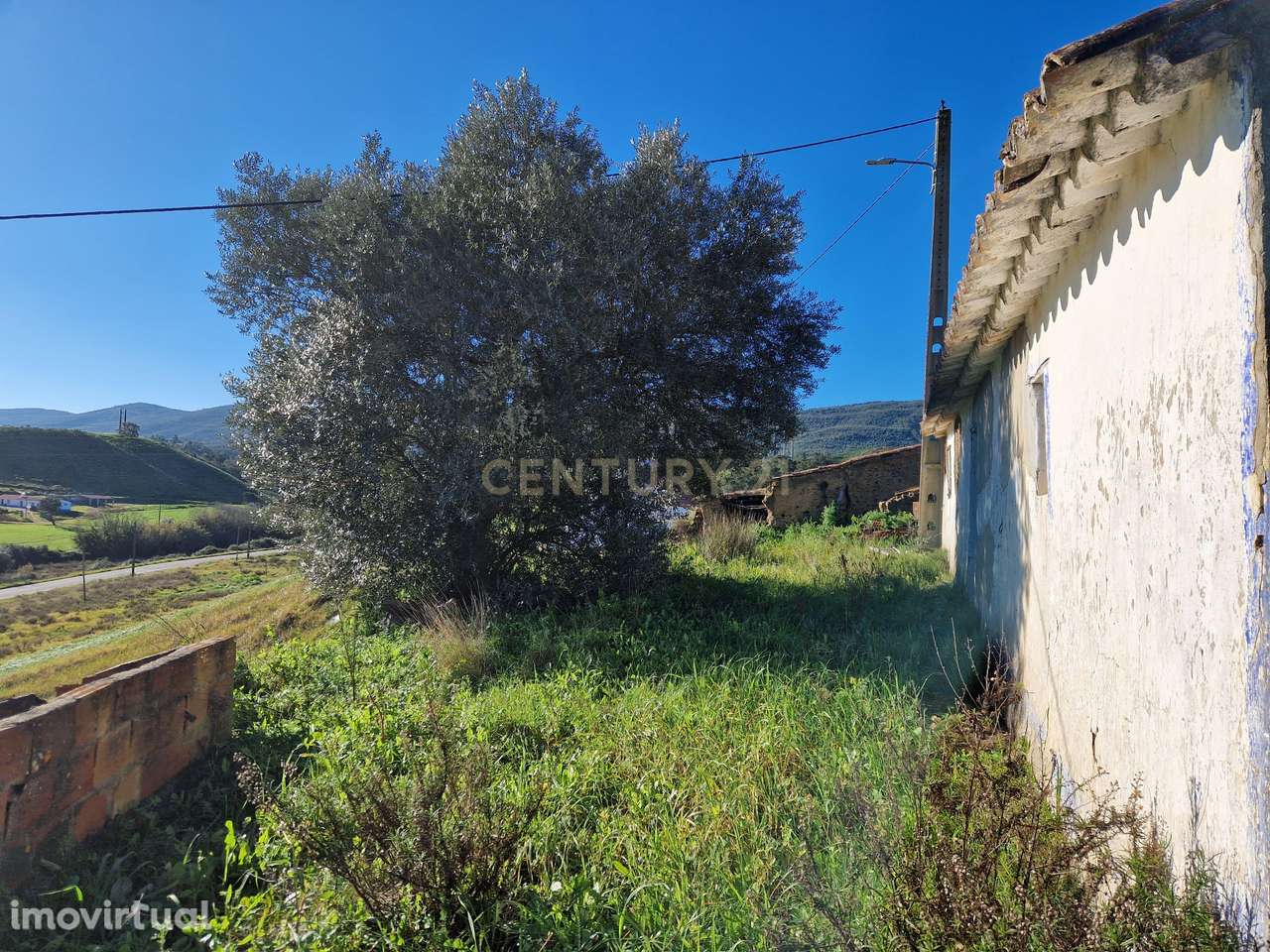Ruína com 4 Hectares de terreno - S. Teotónio (Odemira) - Grande imagem: 3/9
