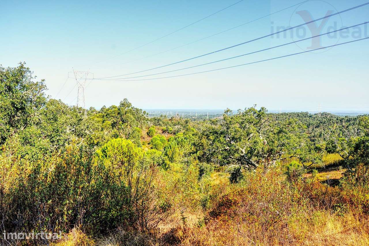 HERDADE SANTIAGO DO CACÉM - Grande imagem: 4/40