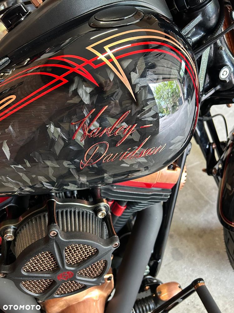Harley-Davidson Softail Cross Bones - 11