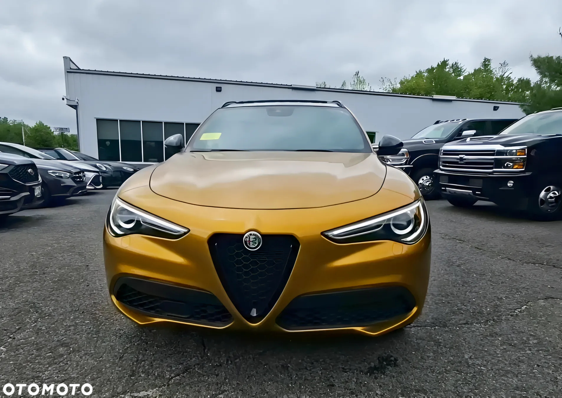 Alfa Romeo Stelvio 2.0 Turbo 16V AT8-Q4 Veloce - 2
