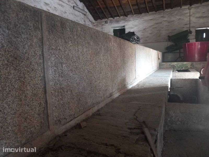 Vende-se Quinta no Douro - Grande imagem: 3/5
