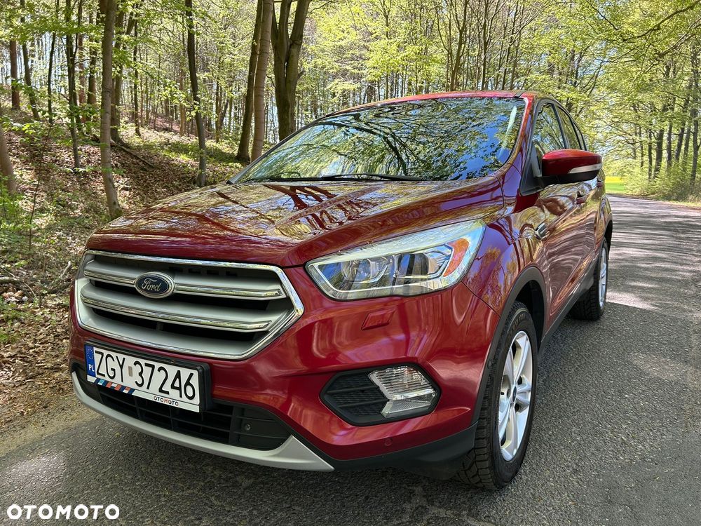 Ford Kuga 2.0 TDCi 2x4 Titanium - 2