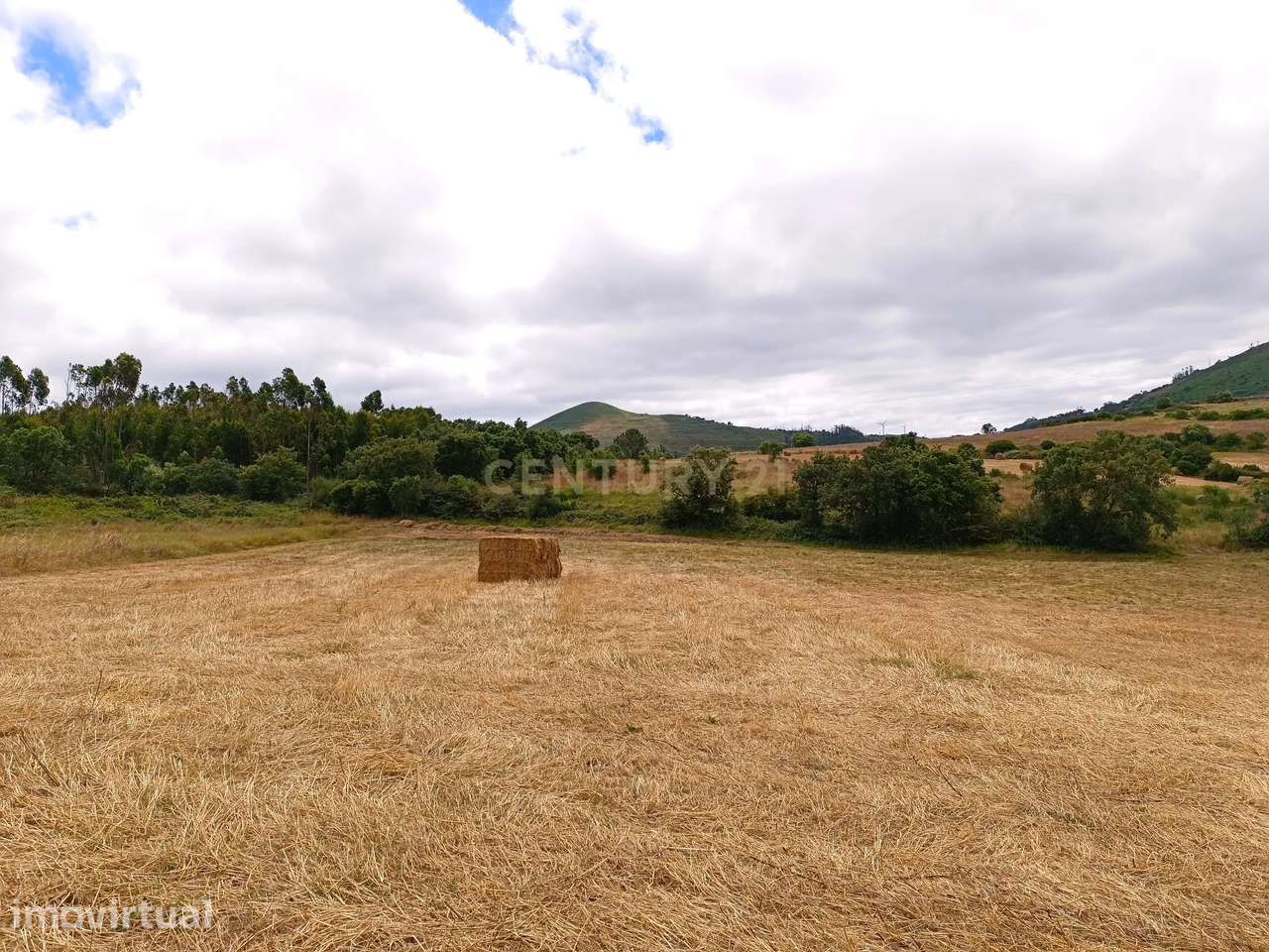 Vende-se Terreno Rústico com Vista Deslumbrante em Zona Agroflorestal - Grande imagem: 3/14