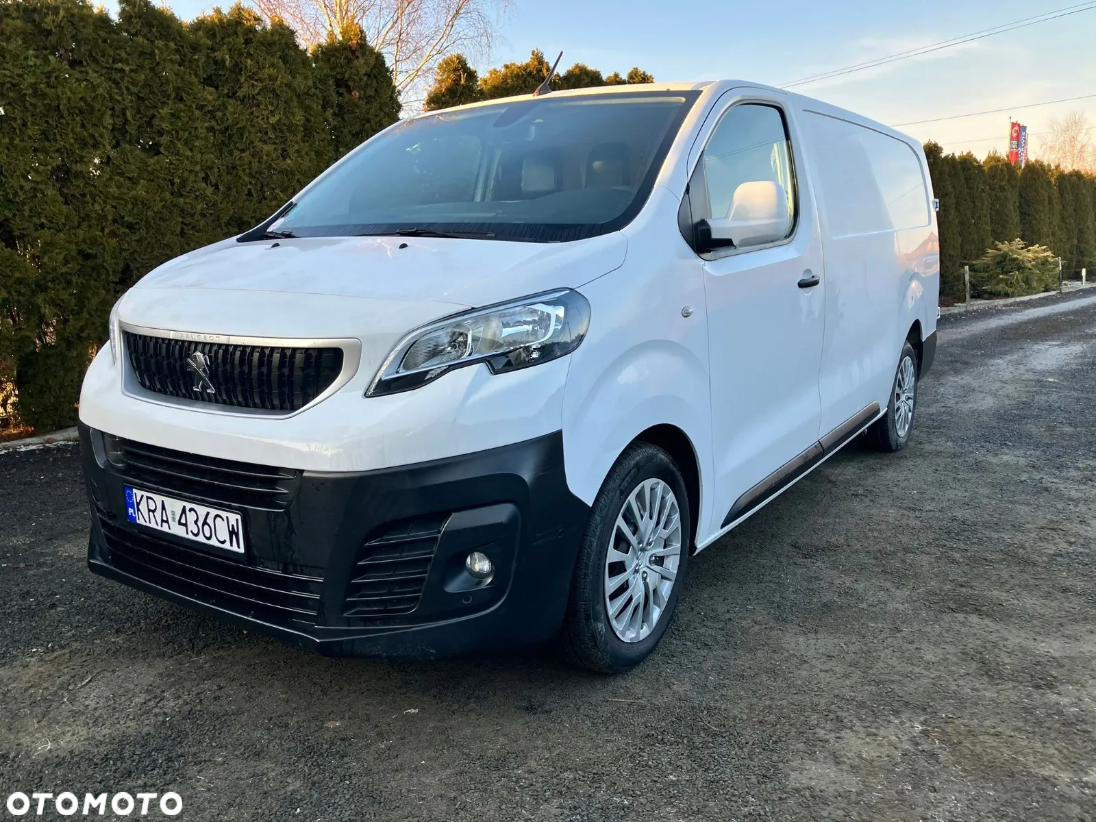 Peugeot Expert - 24