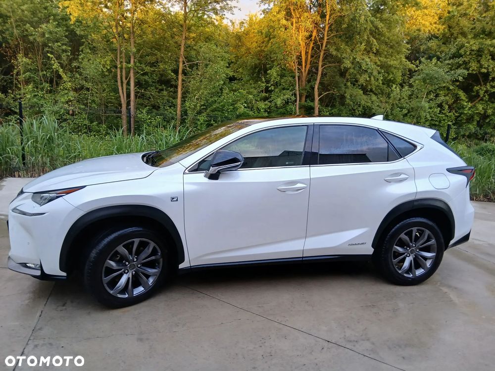 Lexus NX 300h F Sport AWD - 12