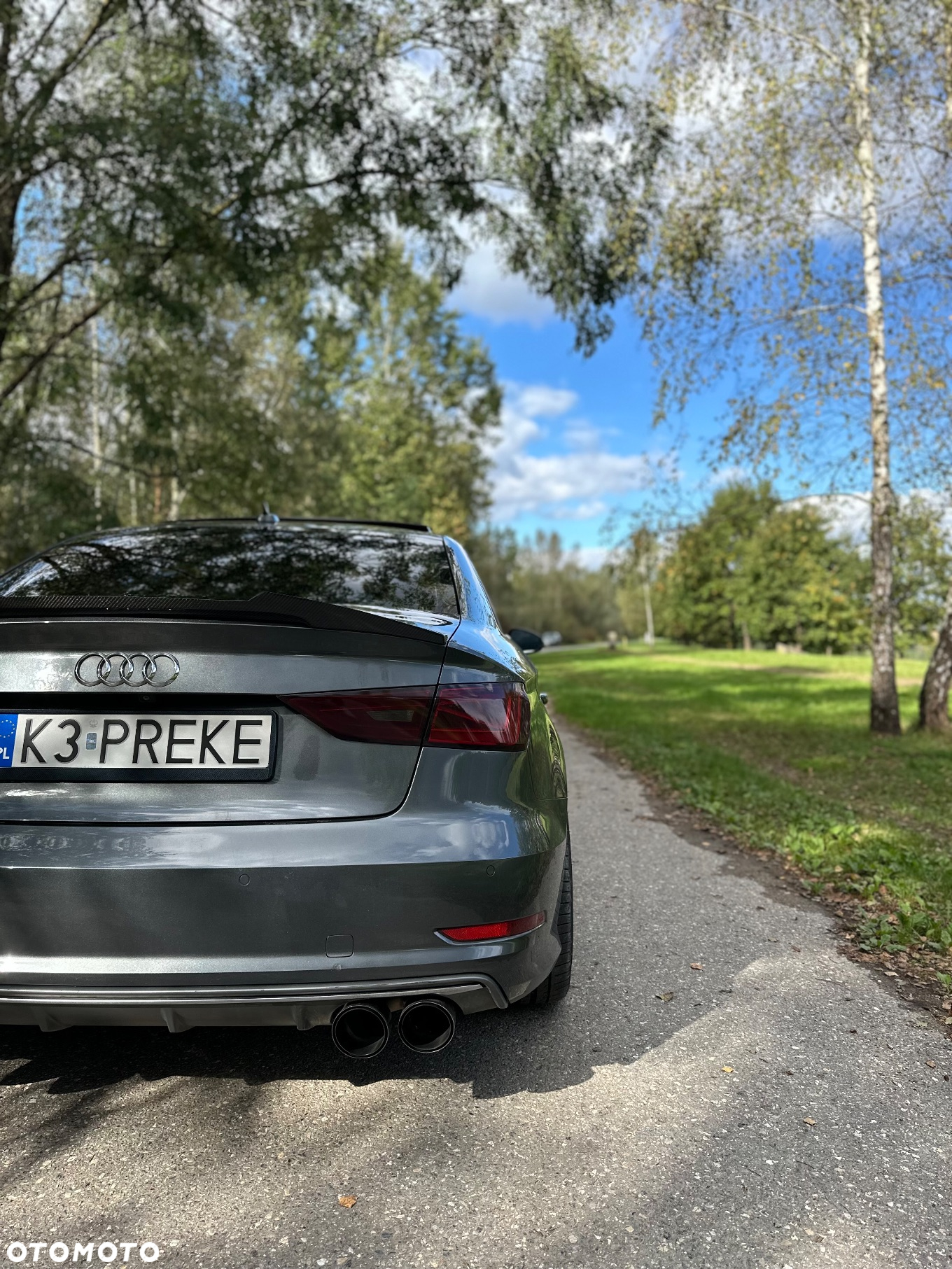 Audi S3 2.0 TFSI Quattro S tronic - 23