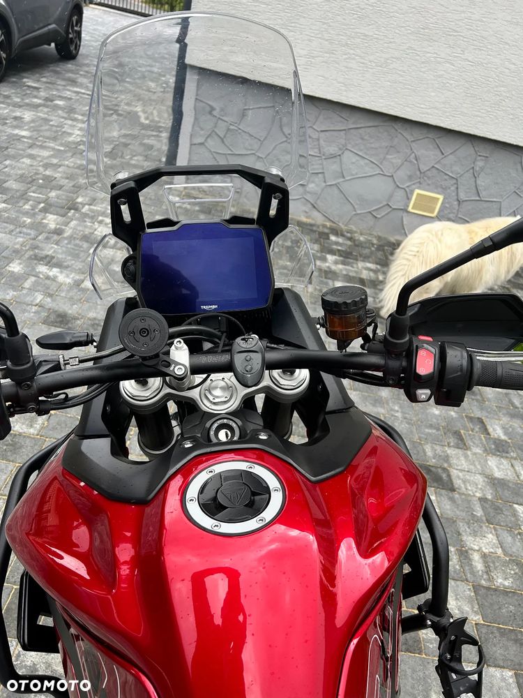 Triumph Tiger - 5