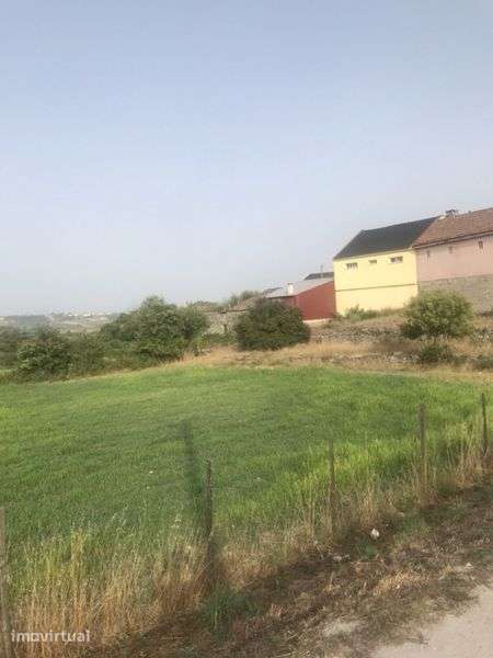 Terreno com 10 mil metros quadrados com loteamentos - Grande imagem: 2/4