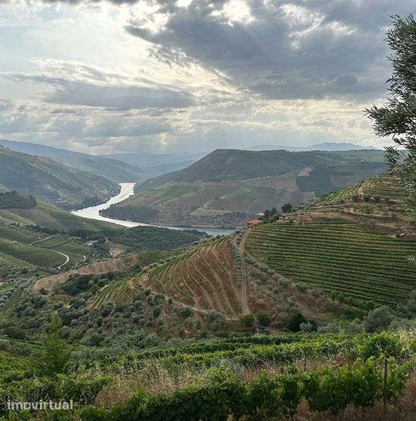 Terreno vista Douro