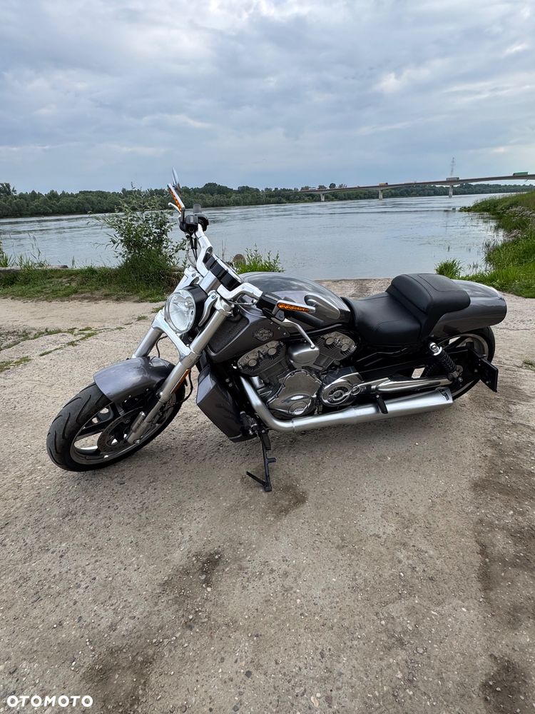 Harley-Davidson V-Rod Muscle - 1
