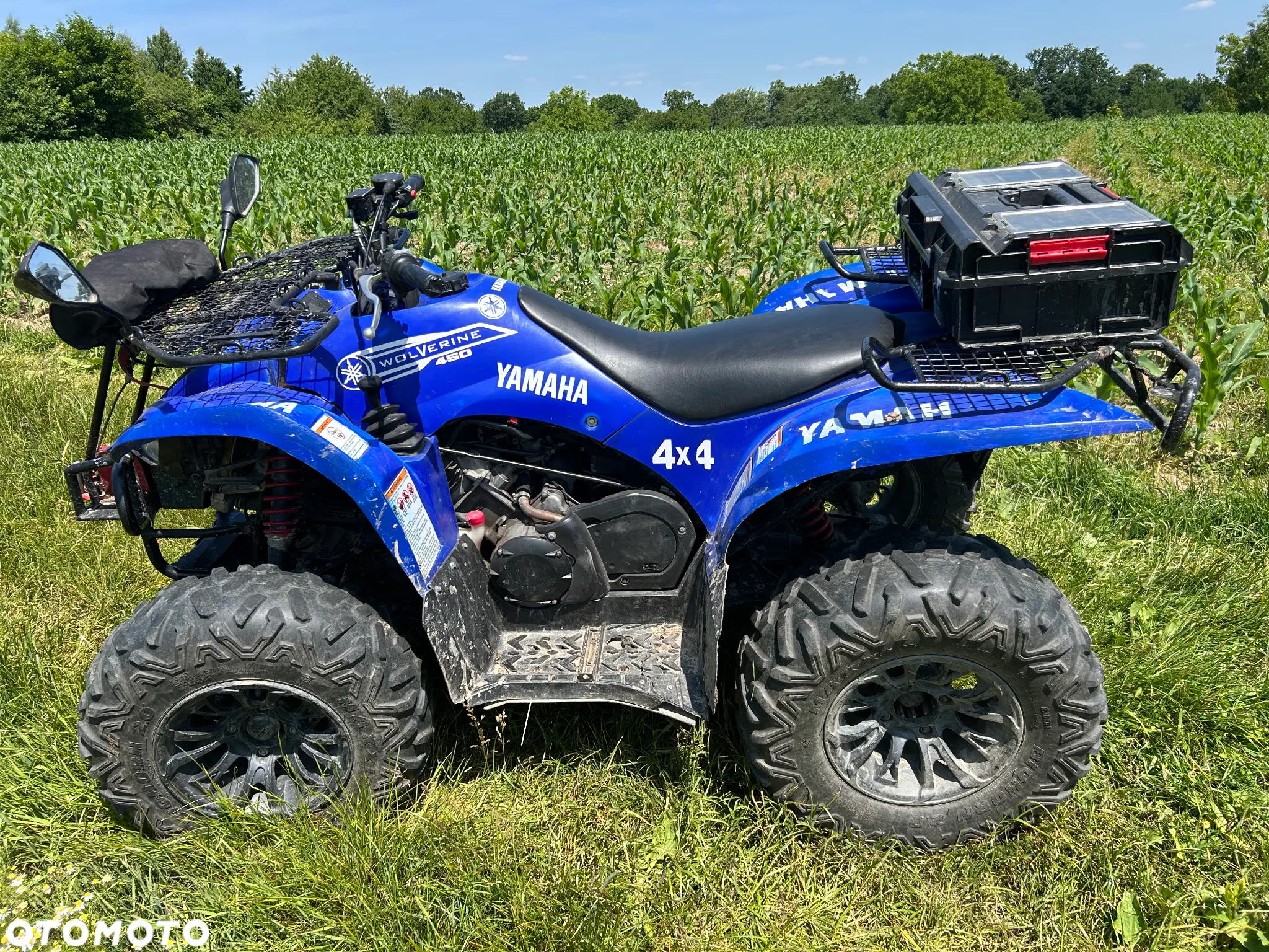 Yamaha Wolverine