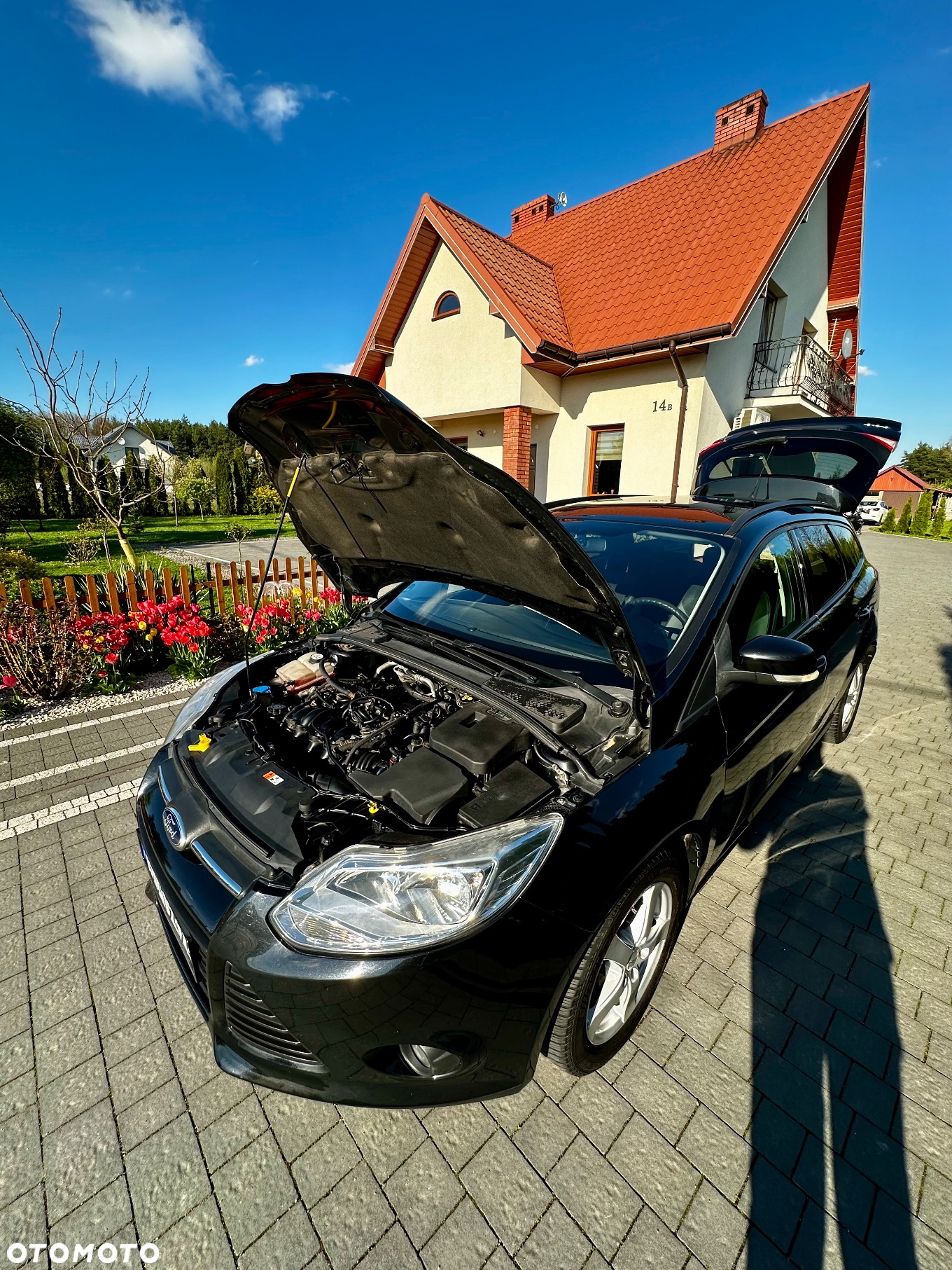 Ford Focus - 26