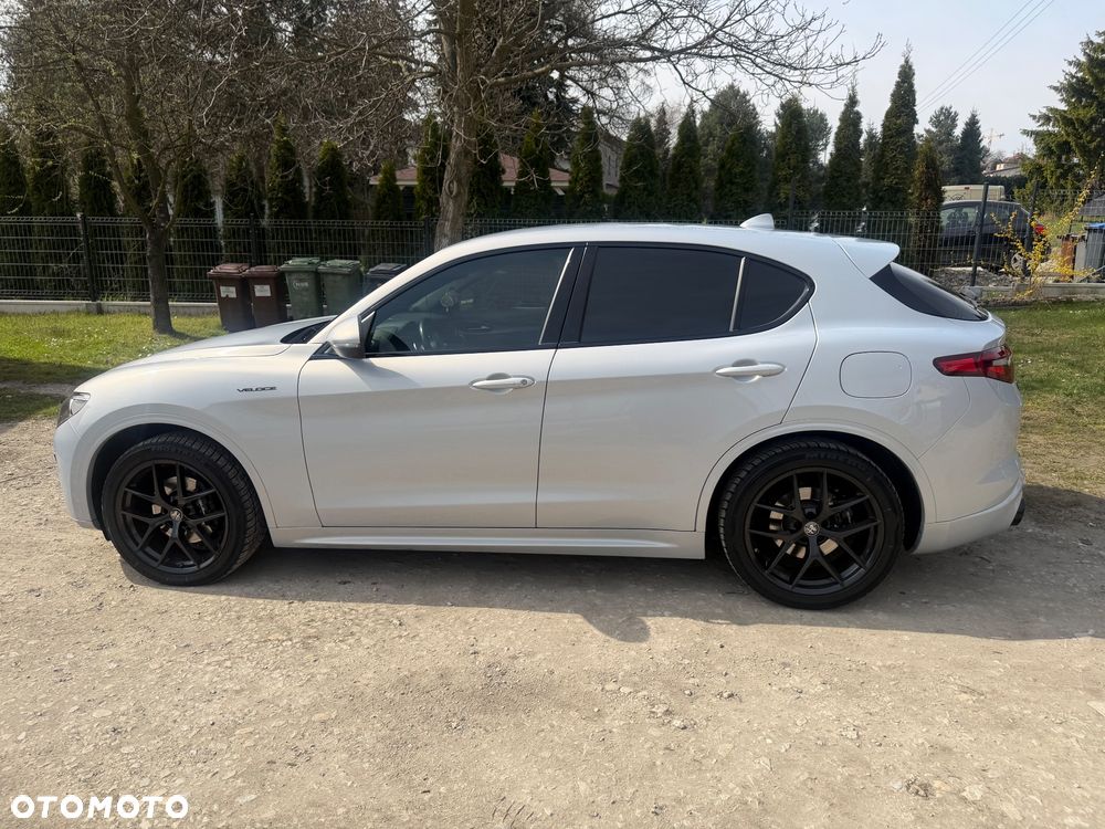 Alfa Romeo Stelvio 2.0 Turbo Veloce Q4 - 3