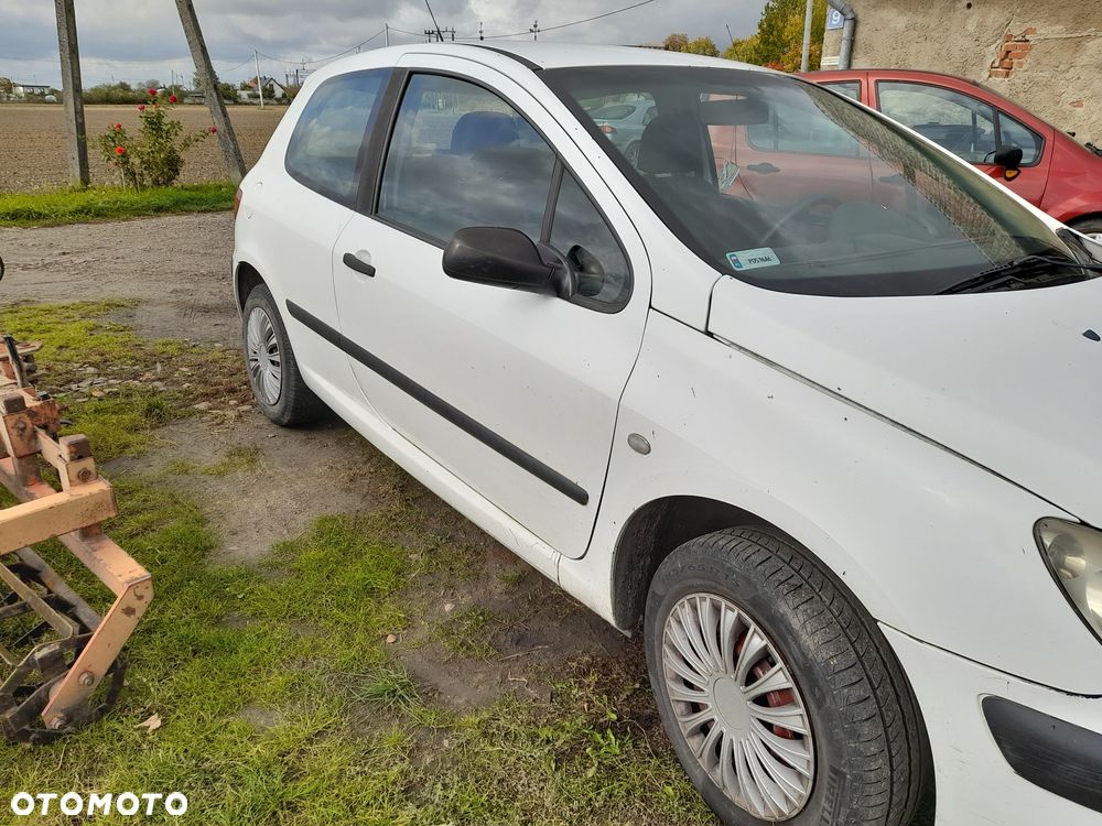 Peugeot 307 2004 photo 4