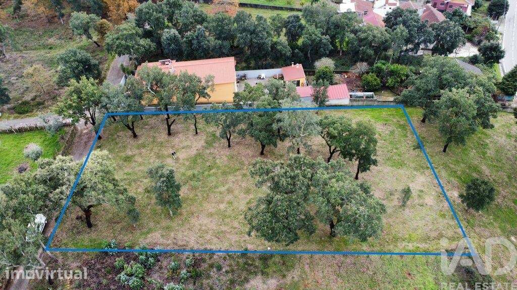 Terreno Agrícola em Figueiró dos Vinhos e Bairradas - Grande imagem: 2/18