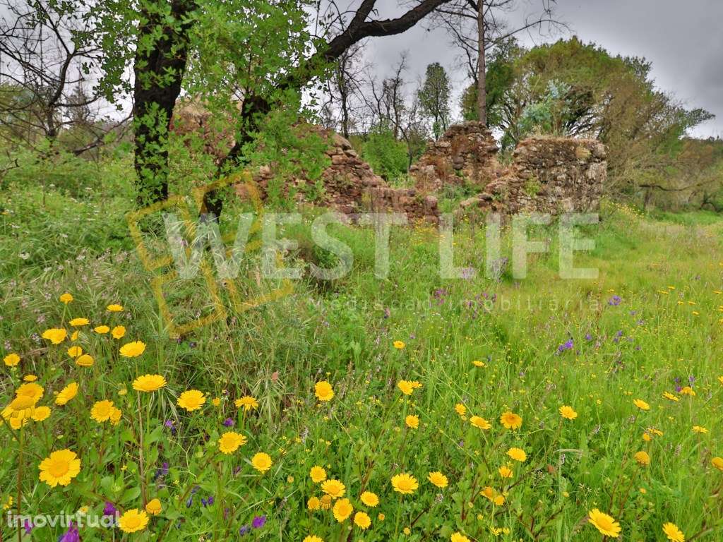 Terreno Rústico - Natural e Agroflorestal - Com 17062m2 - Com dois ... - Grande imagem: 5/19