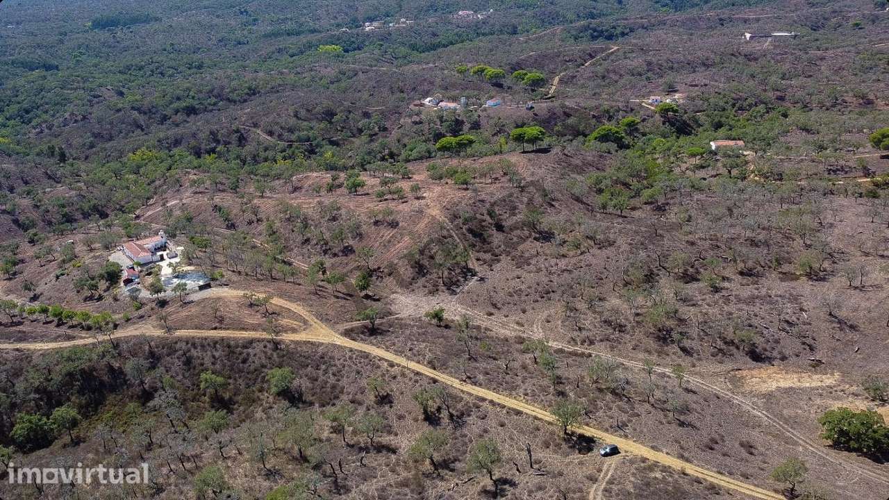 Terreno de 5,775 ha em São Francisco (próximo da Cruz de João Mende - Grande imagem: 4/5