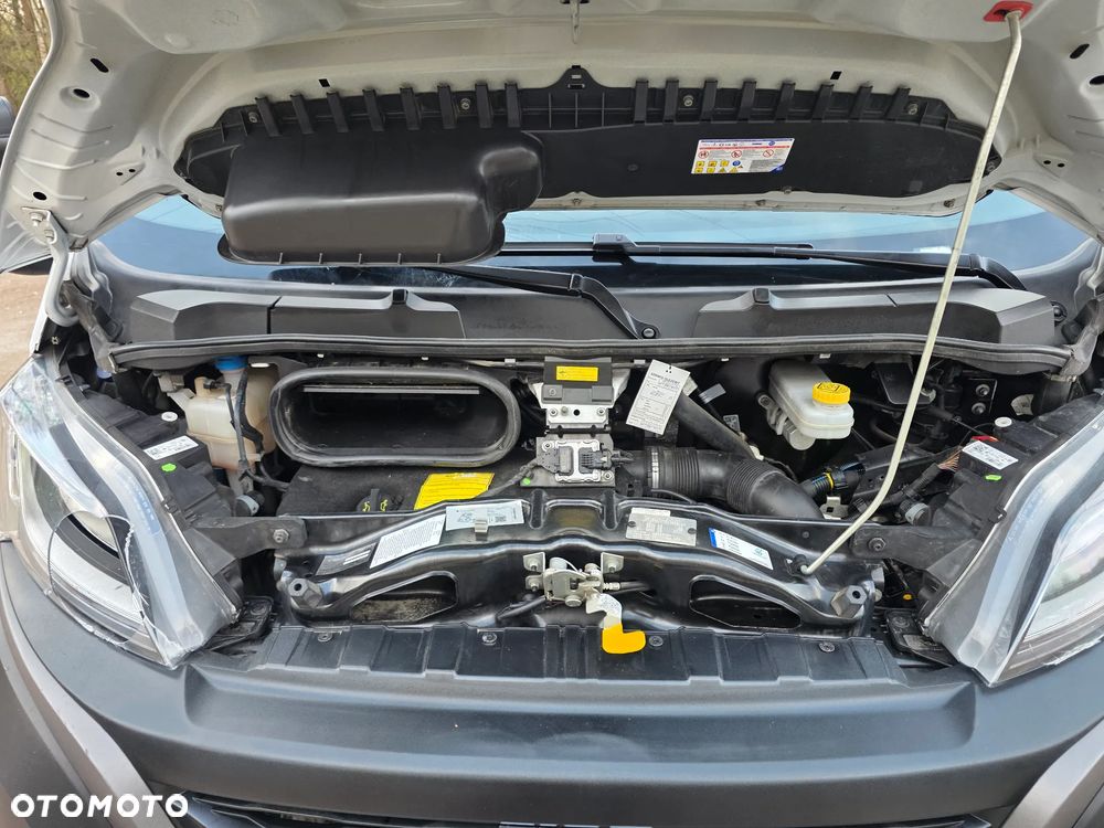 Fiat Ducato chłodnia/mroźnia - 23