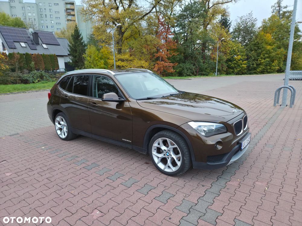 BMW X1 sDrive20d Eff.Dynamics - 15