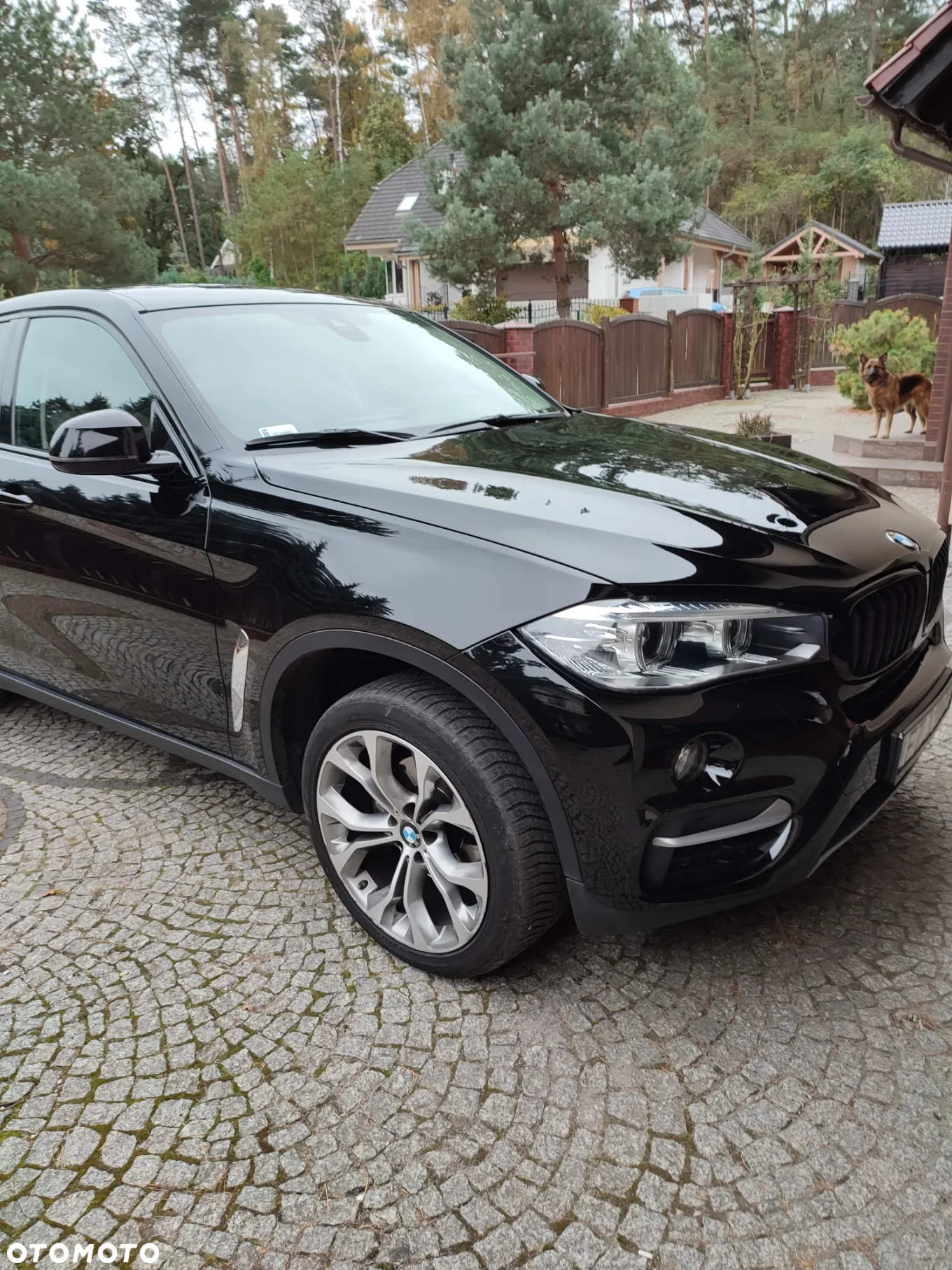 BMW X6 xDrive30d - 9