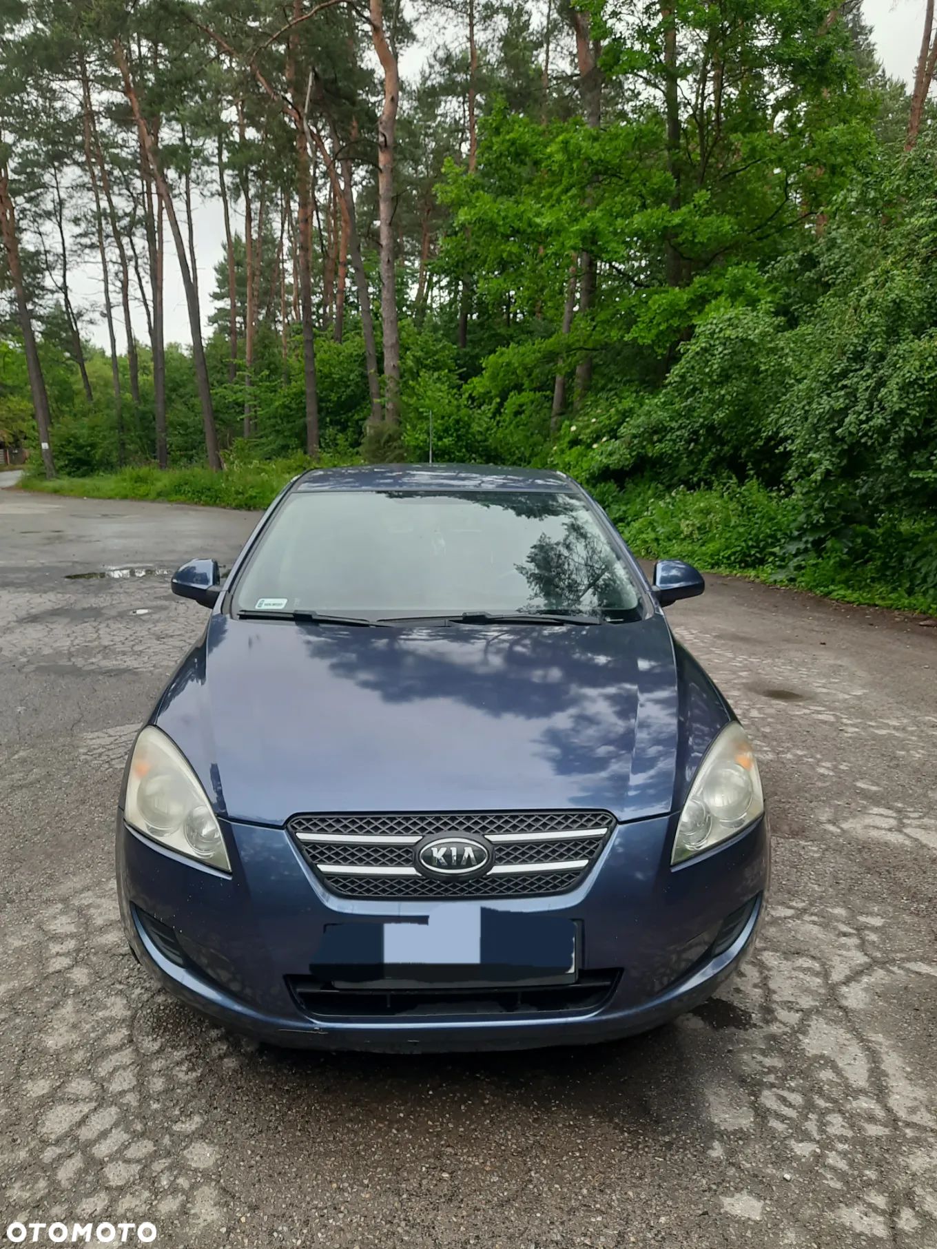 Kia Ceed - 1