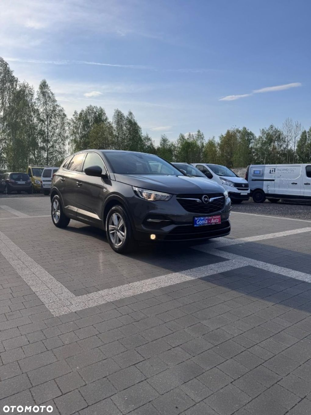 Opel Grandland X - 9