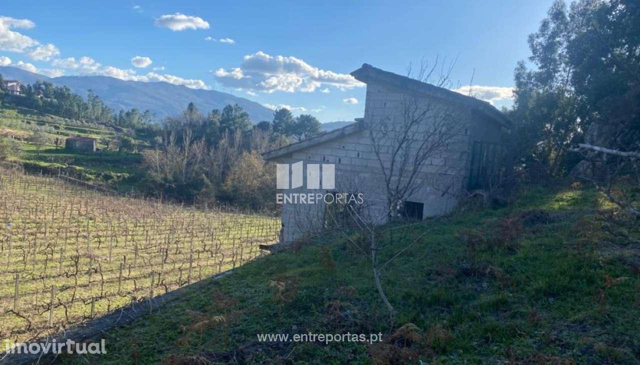 Venda Terreno, Penha Longa, Marco de Canaveses - Grande imagem: 4/29