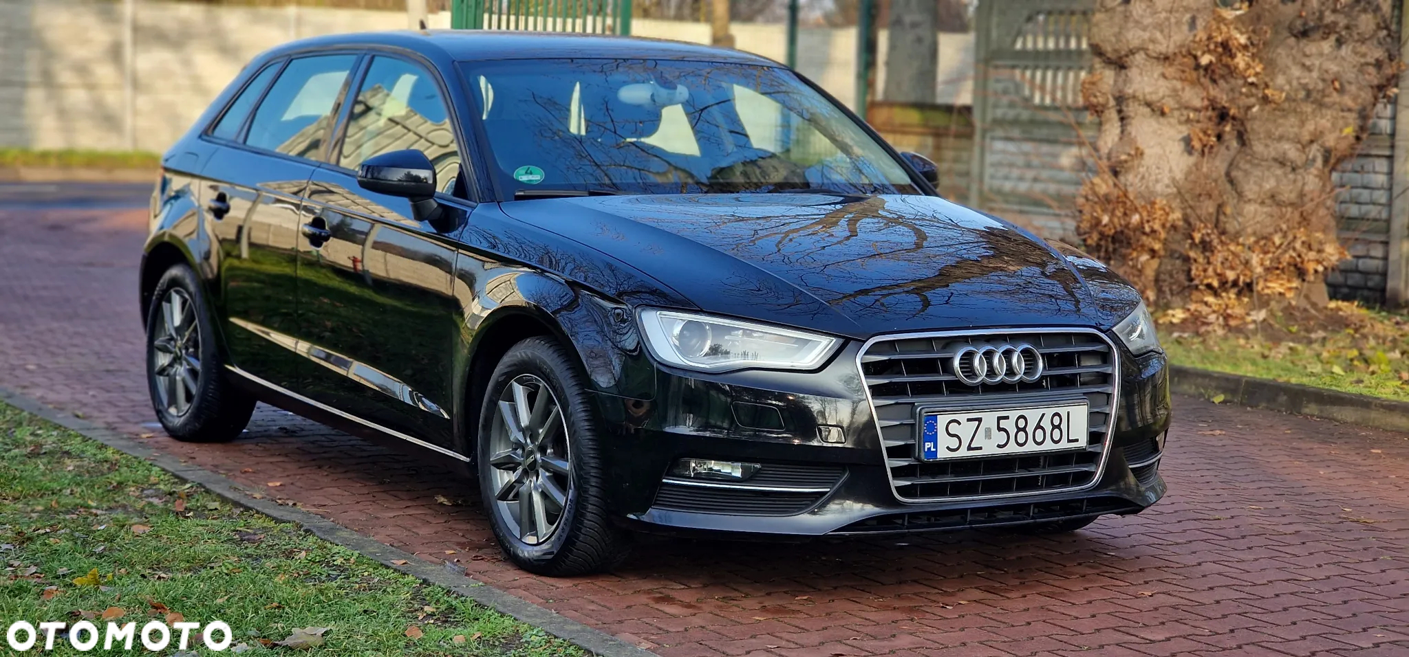 Audi A3 2.0 TDI Edycja specjalna S tronic - 2