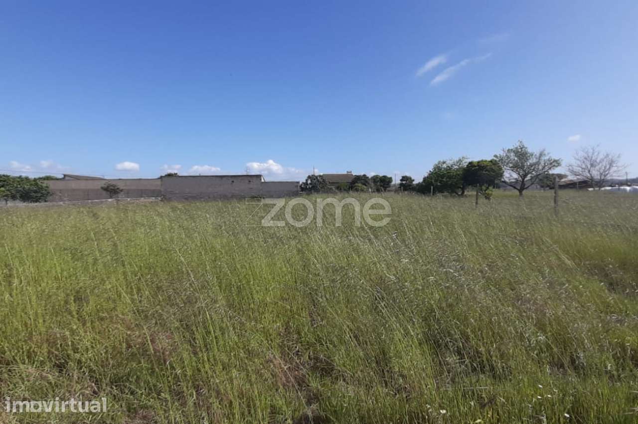 Terreno 1390 m2 | Ereira | Montemor-o-Velho - Grande imagem: 3/16