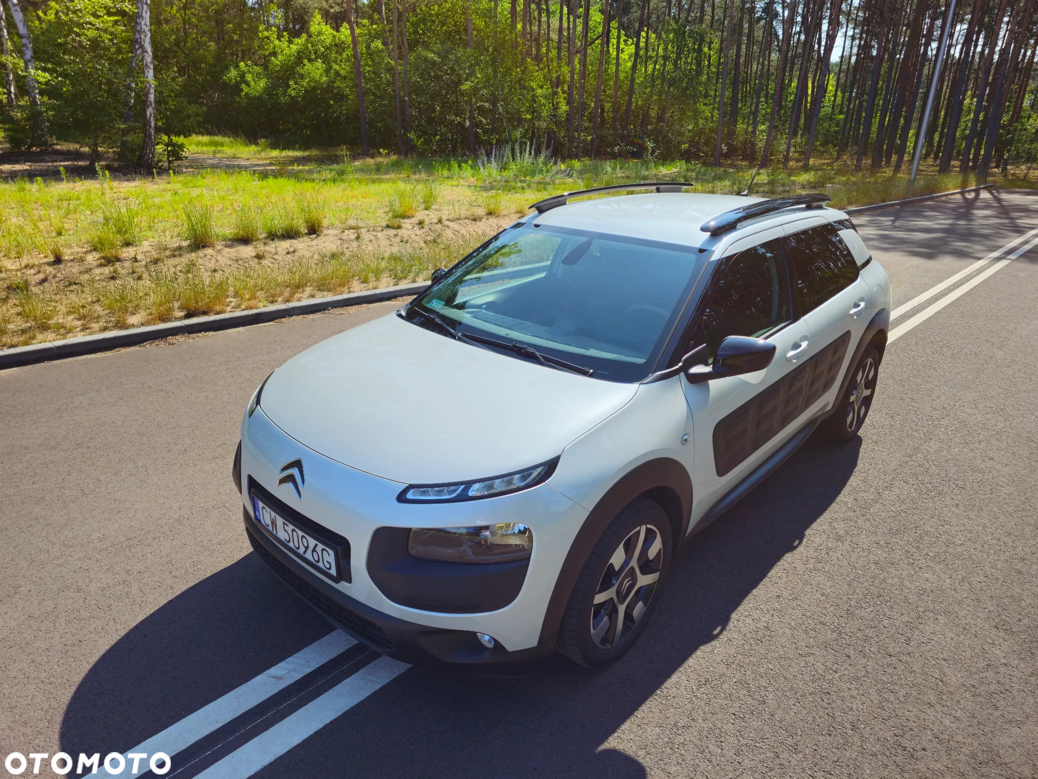 Citroën C4 Cactus 1.6 BlueHDi Shine - 9