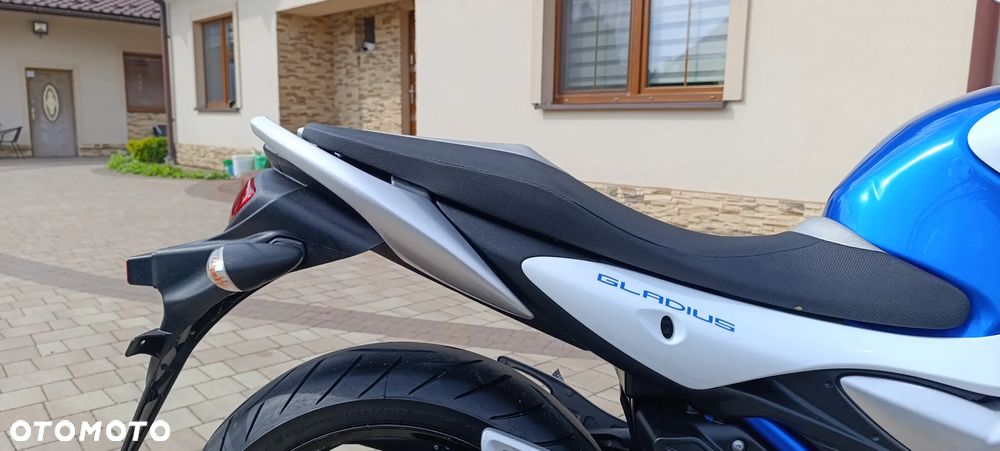 Suzuki Gladius - 24