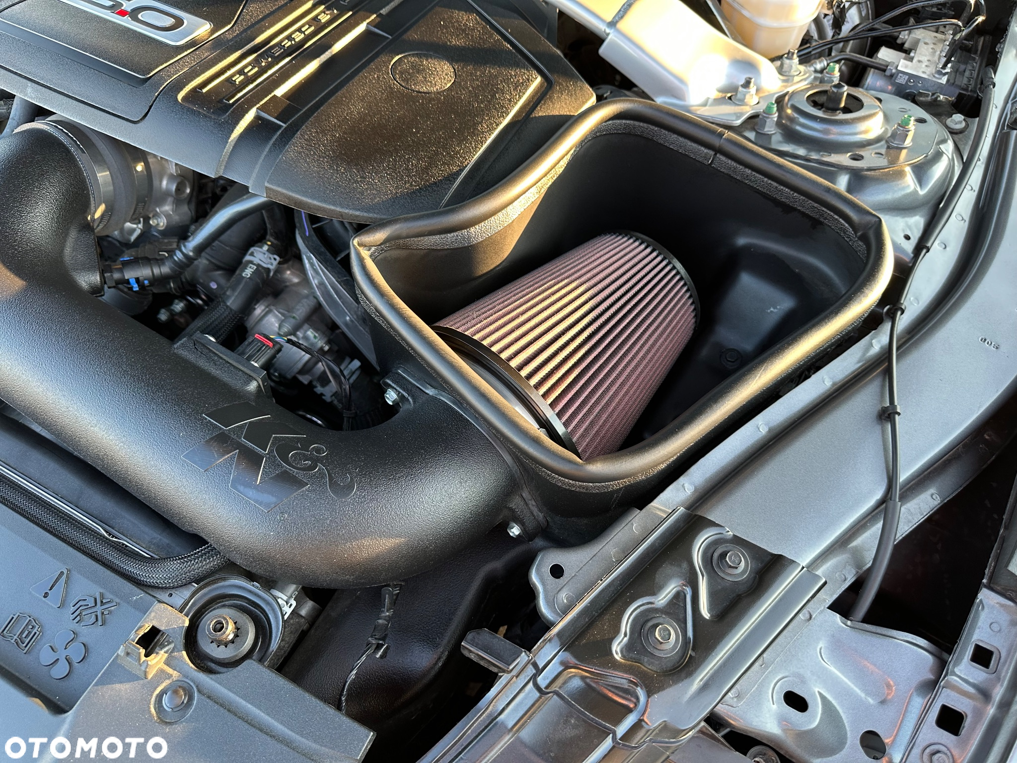 Ford Mustang 5.0 V8 GT - 24